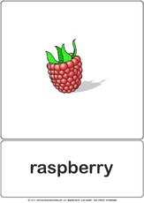 Bildkarte - raspberry.pdf